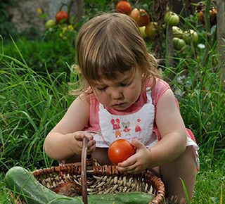 Activités pour enfants